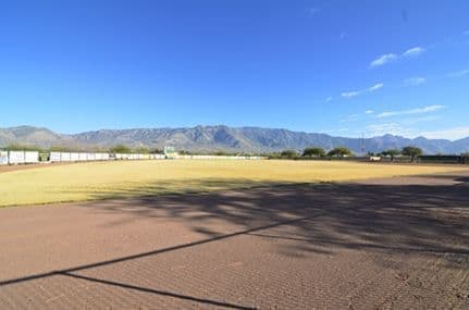 Softball Field in Saddlebrooke